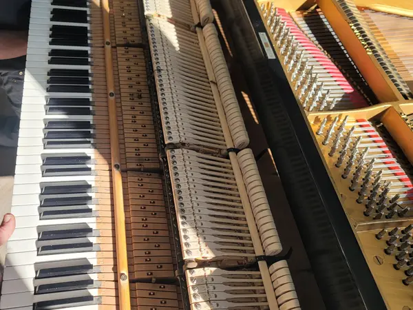 Interior of a grand piano showing the strings and keys during service